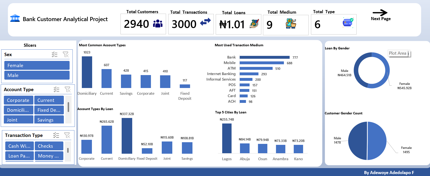 Bank Customer Analytical Project dashboard preview